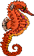 seepferd3